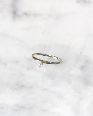 STARDUST FLOATING RING