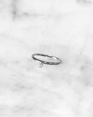 STARDUST FLOATING RING
