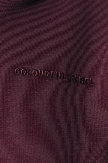 COLOURFUL REBEL HOODIE BUTTERFLY