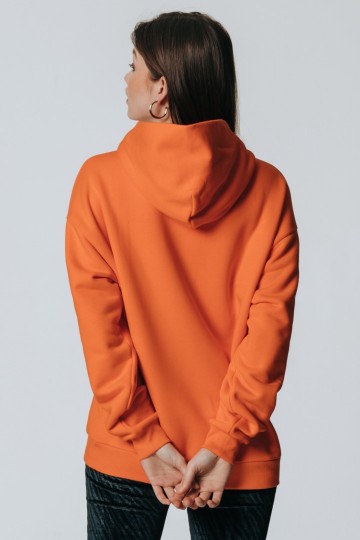 COLOURFUL REBEL HOODIE CLEFL RBL