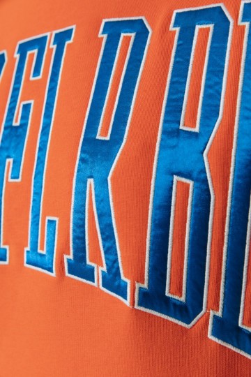 COLOURFUL REBEL HOODIE CLEFL RBL