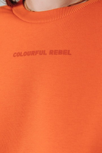 COLOURFUL REBEL SWEATER LOGO